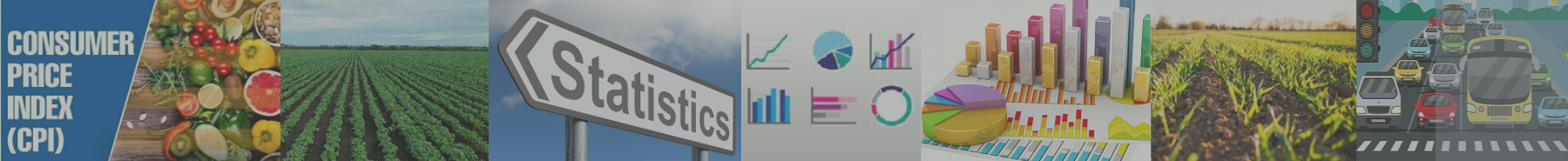 Inner Banner of Consumer Affairs